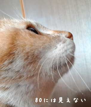 みぃやさん現在