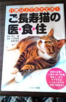 ご長寿猫