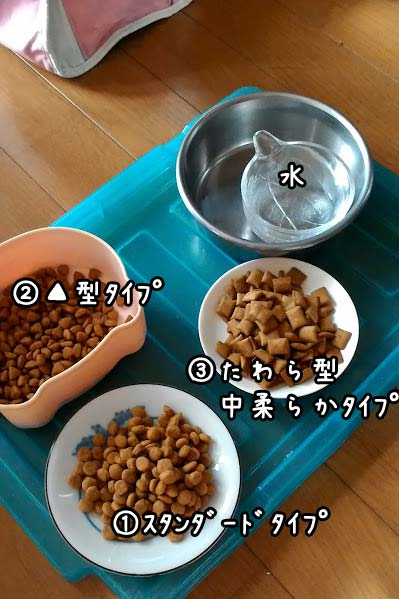ロイヤルカナン一番美味しい餌は？