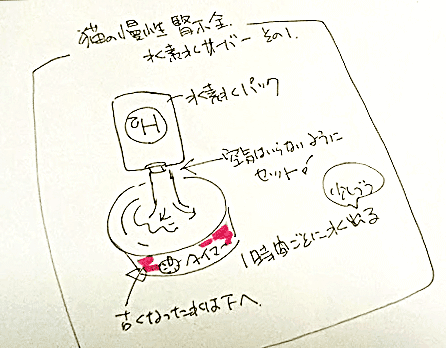 ペット用水素水サーバー考察