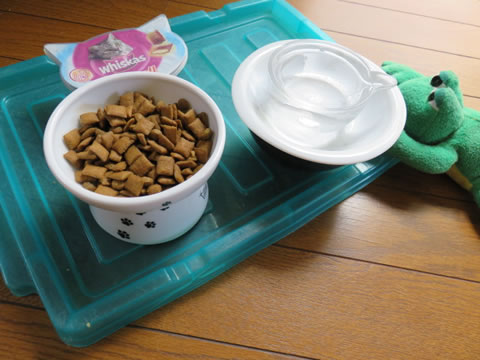 猫用フードボウル04