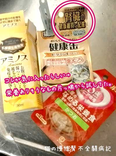 慢性腎不全の猫の餌