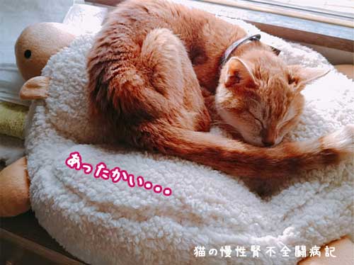 ねこあつめの羊のクッション