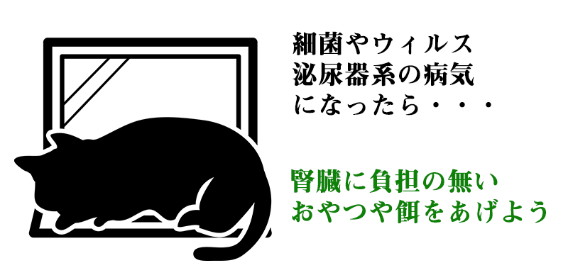 猫が病気になったら食べるものを変えていこう