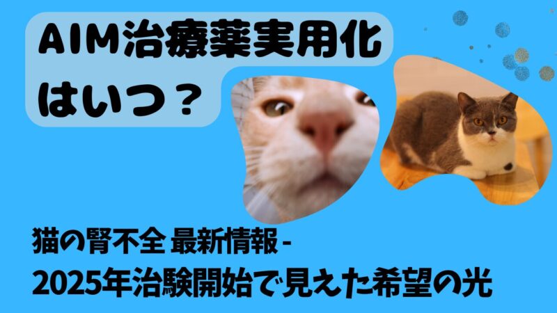 AIM治療薬実用化はいつ？猫の腎不全 最新情報 - 2025年治験開始で見えた希望の光